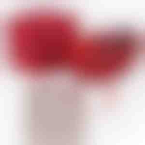 Od fanta za punco | JULIET_HEARTS_APPLEROSE