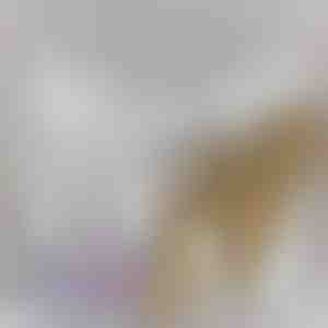 Od mame za hčerko | LEXI